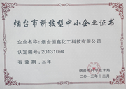烟台市科技型中小企业证书